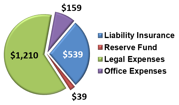 2025 Budget / Spend